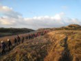 /album/diverse-billeder-fra-vore-ture/landstrygerne-i-bjerrega%cc%8ar-jpg2/